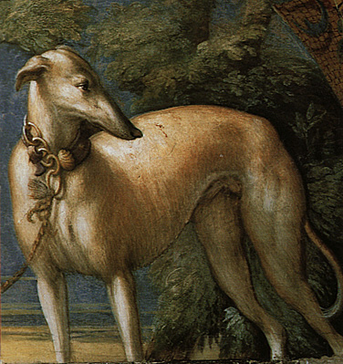 Historia de Diana y Acteón, fresco, Parmigianino, Fontanellato