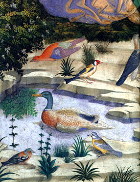 Cortège du Roi mage Melchior, oiseaux, 1459-60, Benozzo Gozzoli