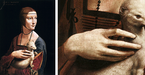 Dame à l'hermine, 1488-1490, Léonard de Vinci