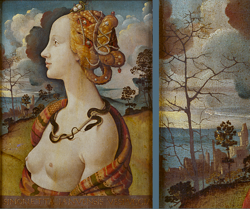 Simonetta Vespucci, Piero di Cosimo