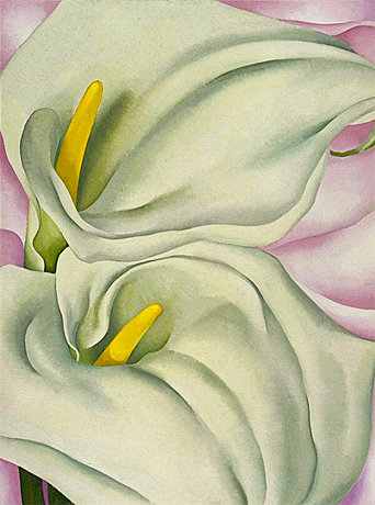 Georgia O'Keeffe, Two Calla Lilies on Pink (Deux lys de calla sur rose), 1928, Philadelphia Museum of Art.