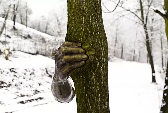 Alpi marittime, 1968, Giuseppe Penone