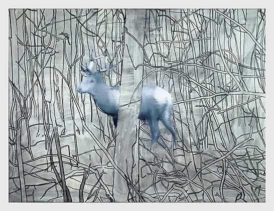 Cerf (Hirsch), 1963, Gerhard Richter